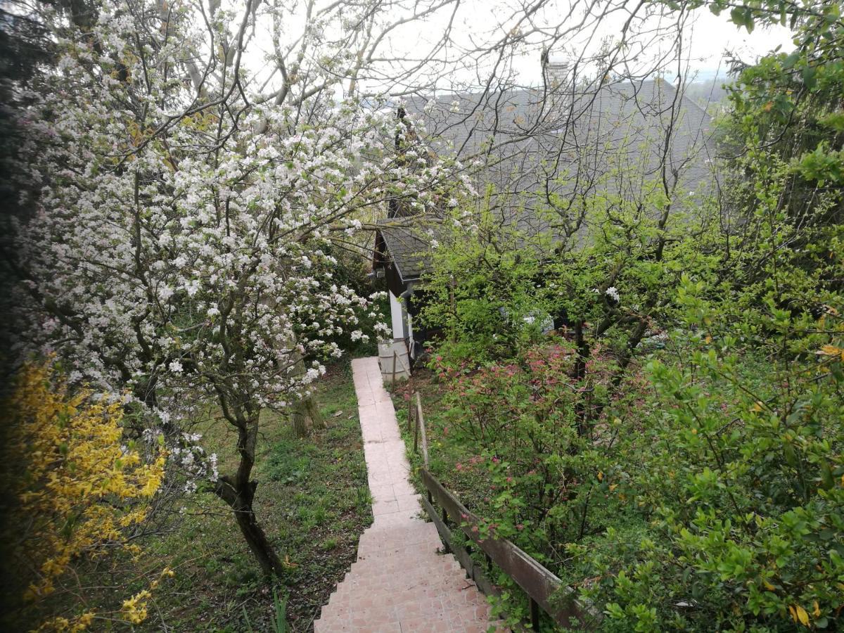 פישטני Holiday House Cervena Veza מראה חיצוני תמונה